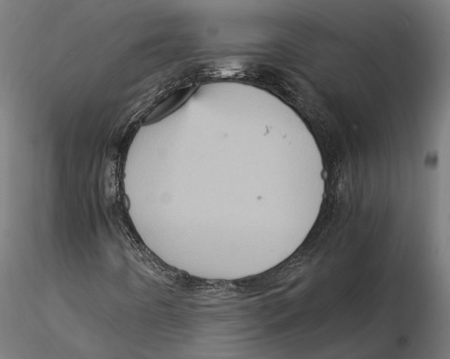 X0000115581442200912081015