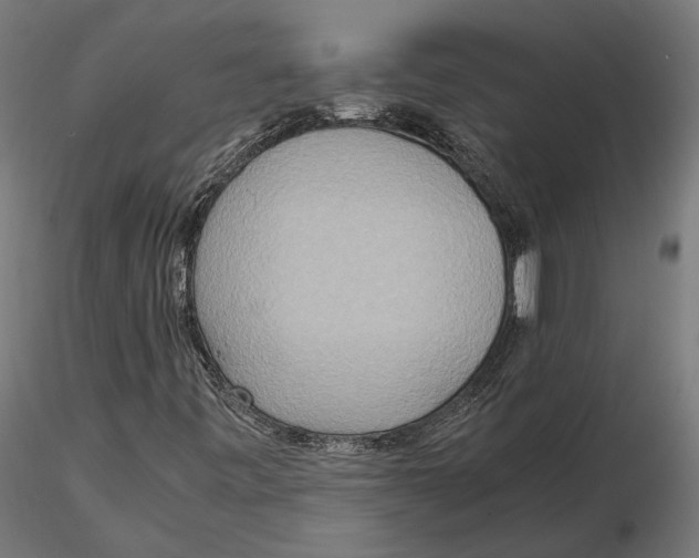 X0000115581443200912081015