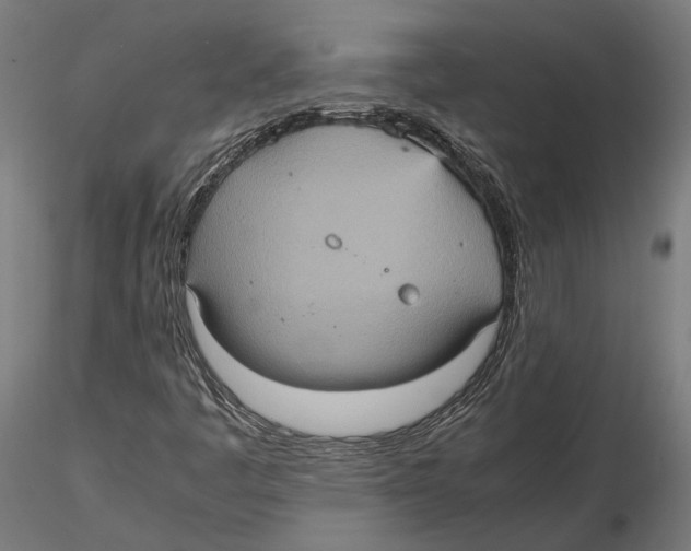 X0000115581445200912081015