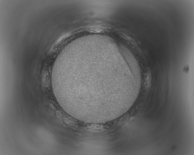 X0000115581446200912081015