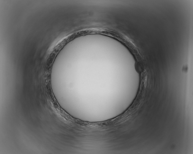 X0000115581448200912081015