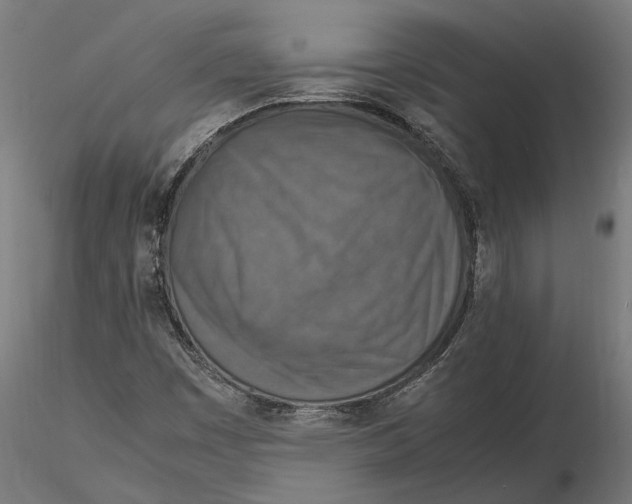 X0000115581449200912081015