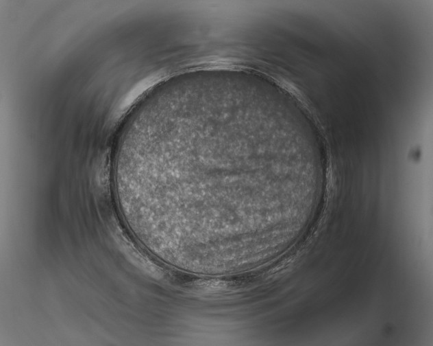 X0000115581450200912081015