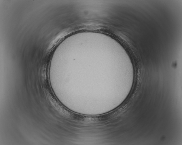 X0000115581451200912081015