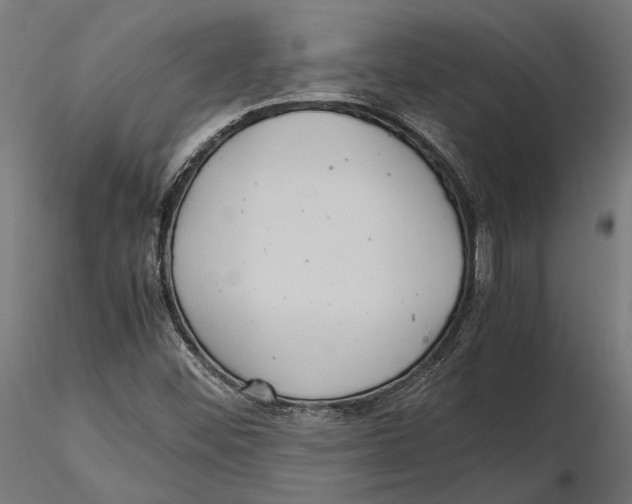 X0000115581452200912081014