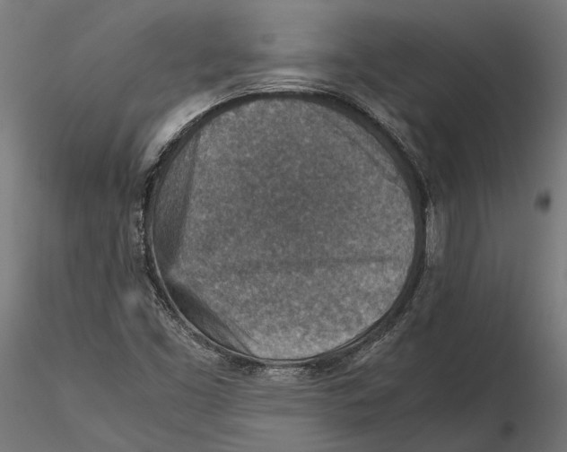 X0000115581453200912081014