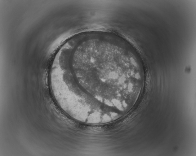 X0000115581455200912081014