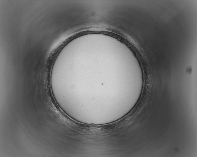 X0000115581456200912081014