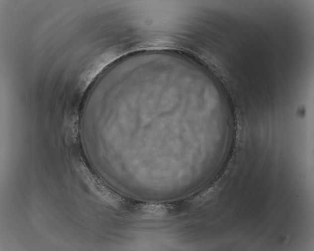 X0000115581457200912081014