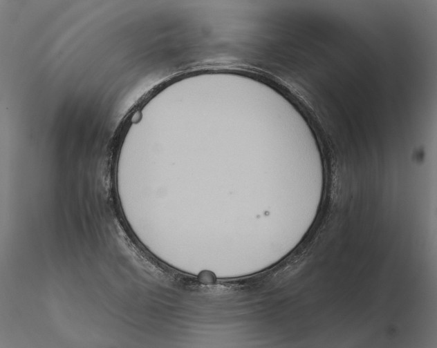 X0000115581458200912081014