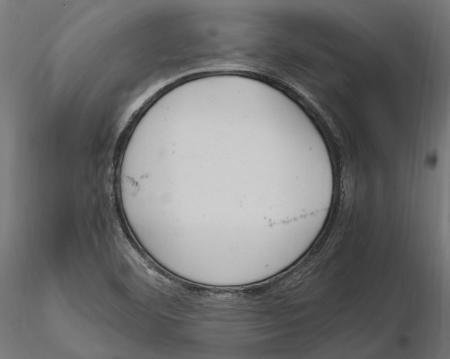 X0000115581460200912081014