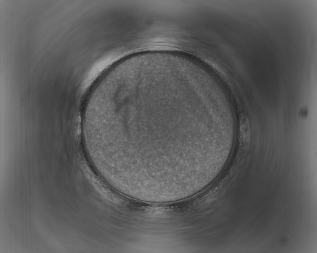 X0000115581461200912081014