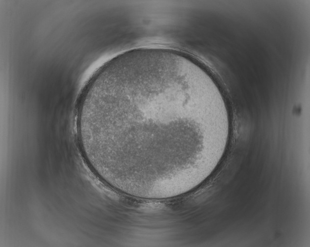 X0000115581462200912081014