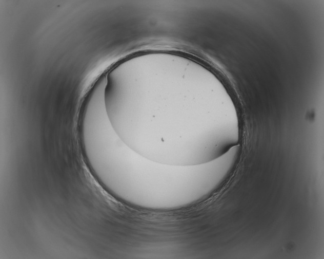 X0000115581464200912081014