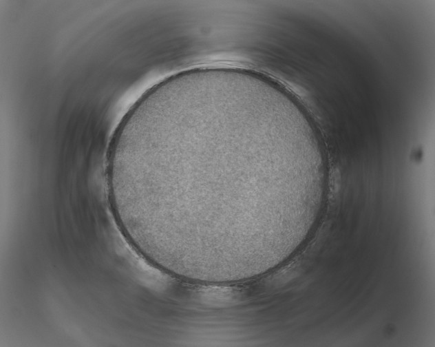 X0000115581470200912081014