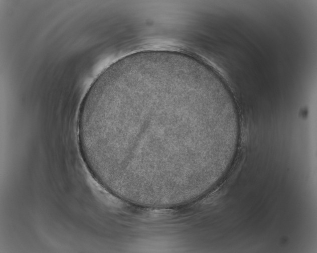 X0000115581471200912081014