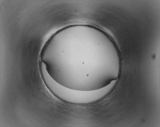 X0000115581472200912081014