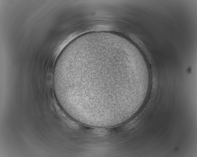 X0000115581473200912081014