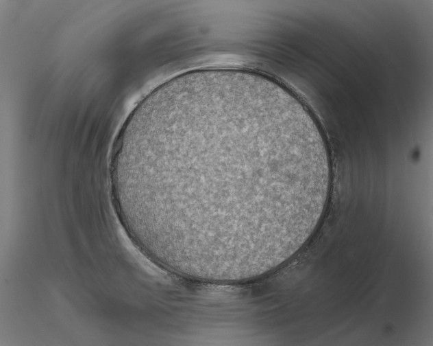 X0000115581475200912081014