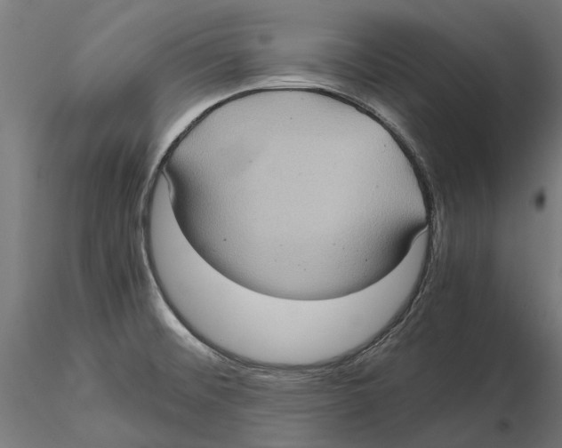 X0000115581476200912081014