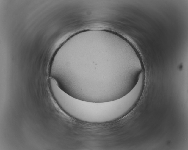 X0000115581477200912081014