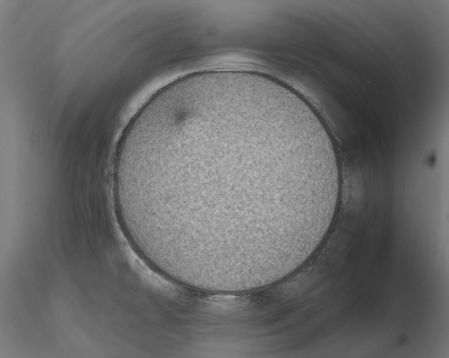 X0000115581478200912081014