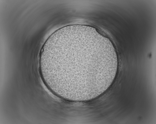 X0000115581479200912081014