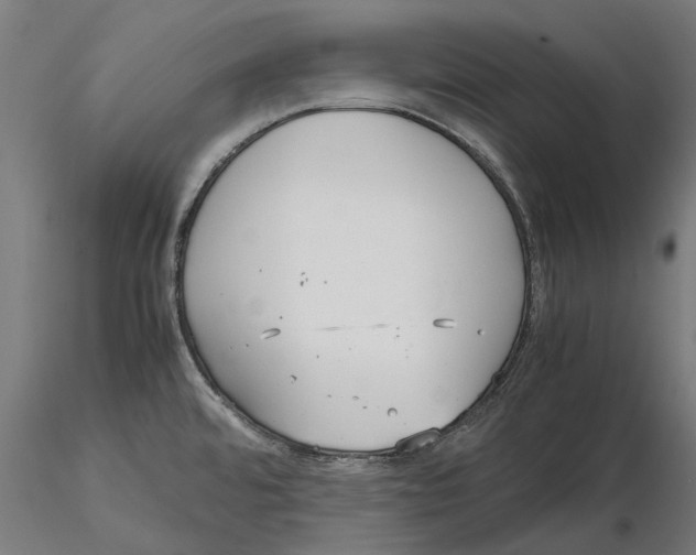 X0000115581480200912081014