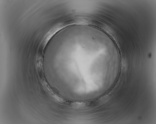 X0000115581481200912081014