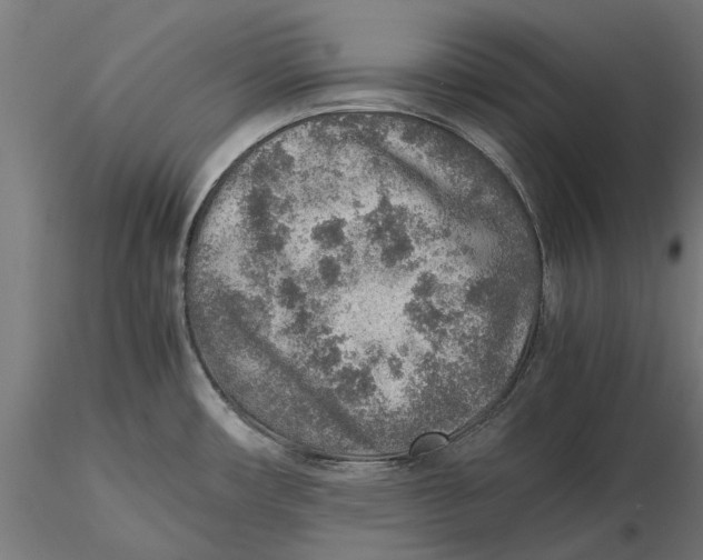 X0000115581482200912081014