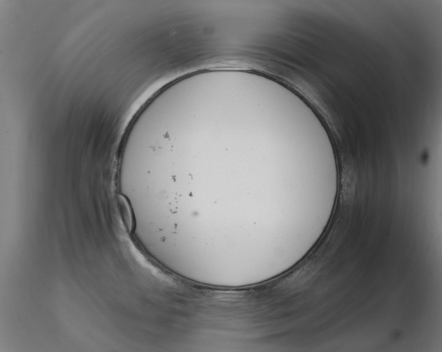 X0000115581484200912081014