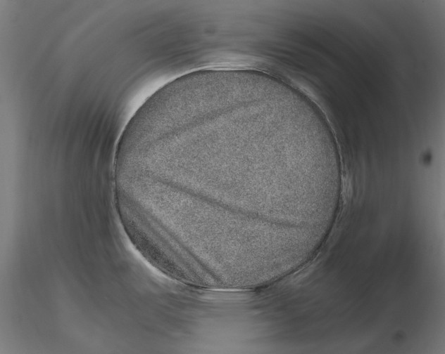 X0000115581487200912081014