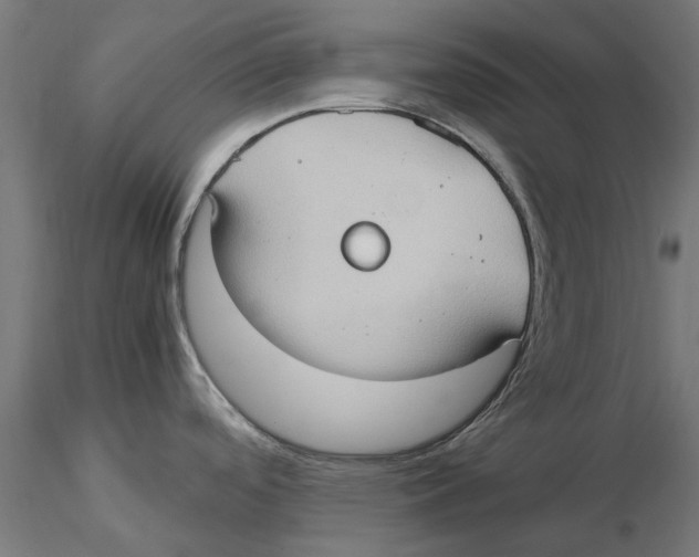 X0000115581488200912081014