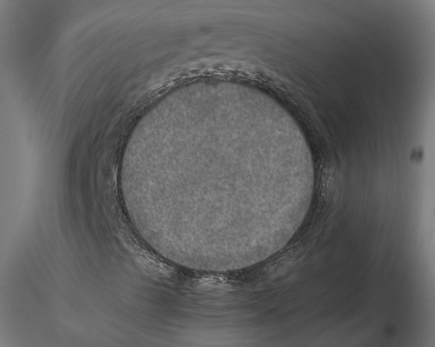 X0000115581489200912081013