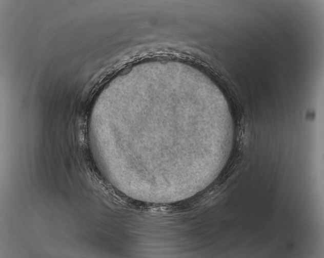 X0000115581490200912081013