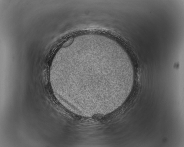 X0000115581493200912081013