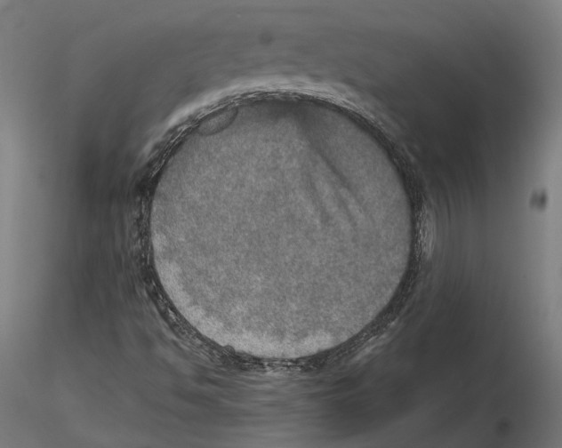 X0000115581494200912081013