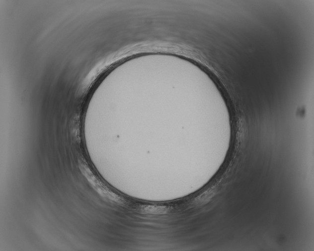 X0000115581499200912081013