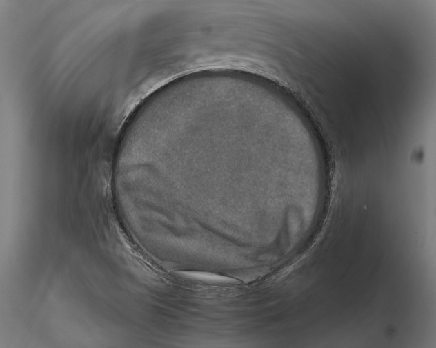 X0000115581505200912081013