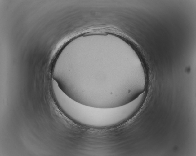 X0000115581506200912081013