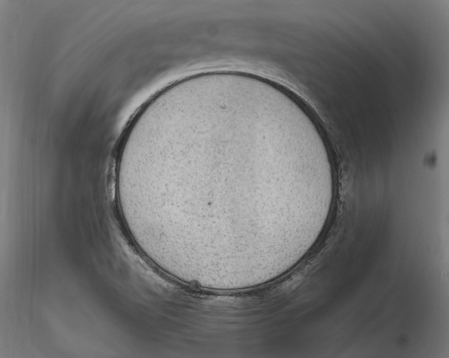 X0000115581510200912081014