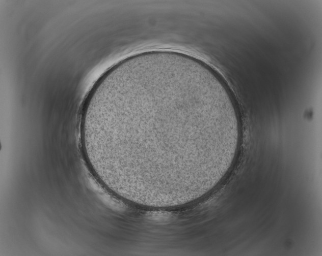 X0000115581511200912081014