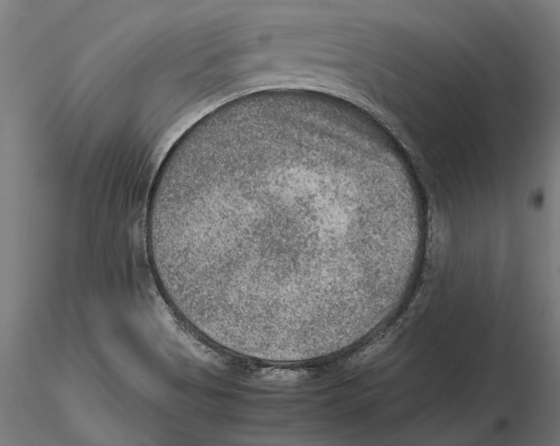 X0000115581513200912081014