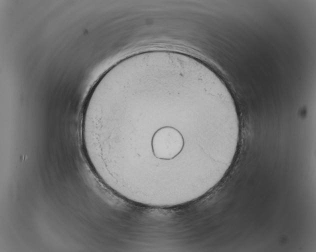 X0000115581514200912081014