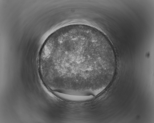 X0000115581519200912081014