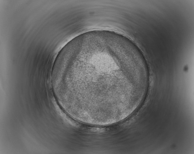 X0000115581521200912081014