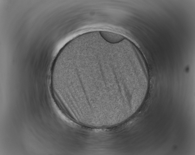 X0000115581523200912081014