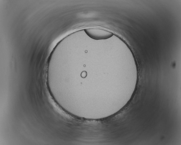 X0000115581526200912081014