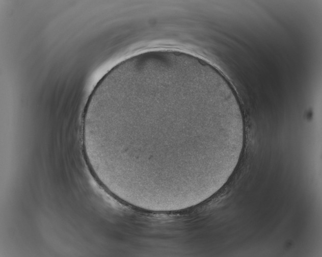 X0000115581527200912081014