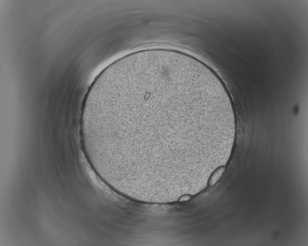 X0000115581534200912081014